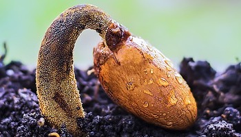 Energie update Geel Zaad levenspad 7 - 19 Mei 2021: Ruimte maken voor de toekomst